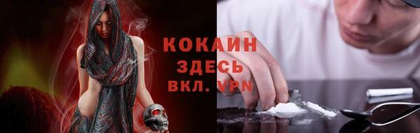spice Бородино