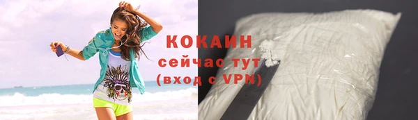 spice Бородино