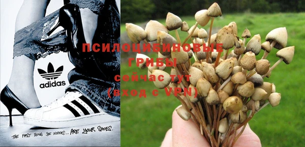 spice Бородино