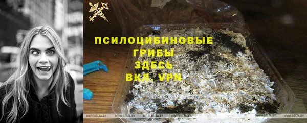 spice Бородино
