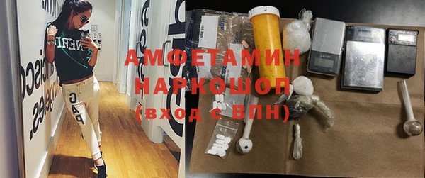 дживик Богородицк