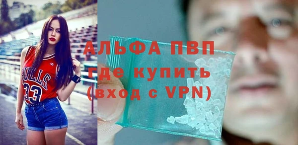 spice Бородино
