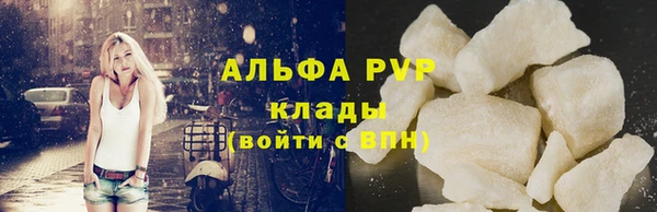 spice Бородино